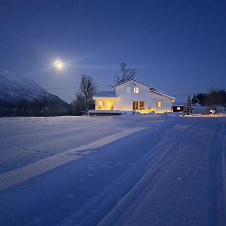 Mountainside Lodge - Breivikeidet Tromso Bagian luar foto