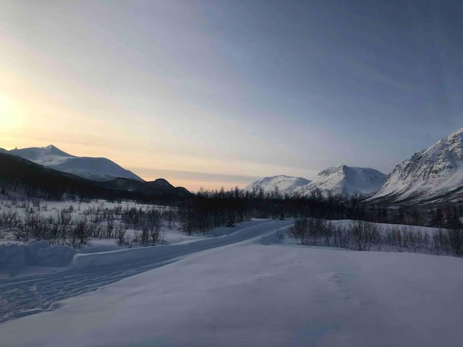 Mountainside Lodge - Breivikeidet Tromso Bagian luar foto