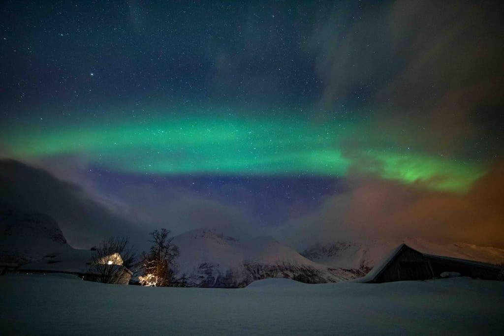 Mountainside Lodge - Breivikeidet Tromso Bagian luar foto
