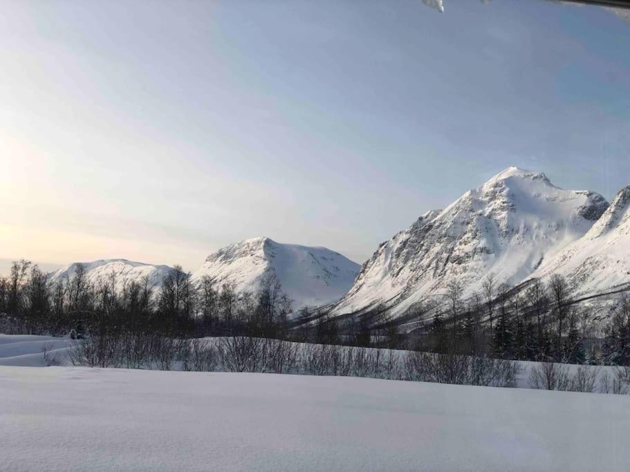 Mountainside Lodge - Breivikeidet Tromso Bagian luar foto