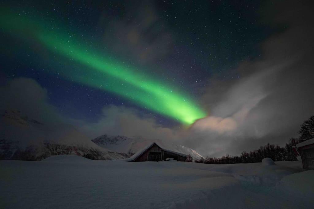 Mountainside Lodge - Breivikeidet Tromso Bagian luar foto