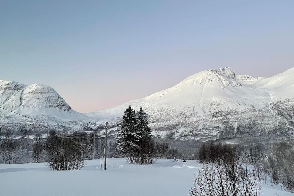 Mountainside Lodge - Breivikeidet Tromso Bagian luar foto