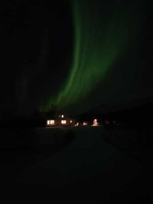 Mountainside Lodge - Breivikeidet Tromso Bagian luar foto