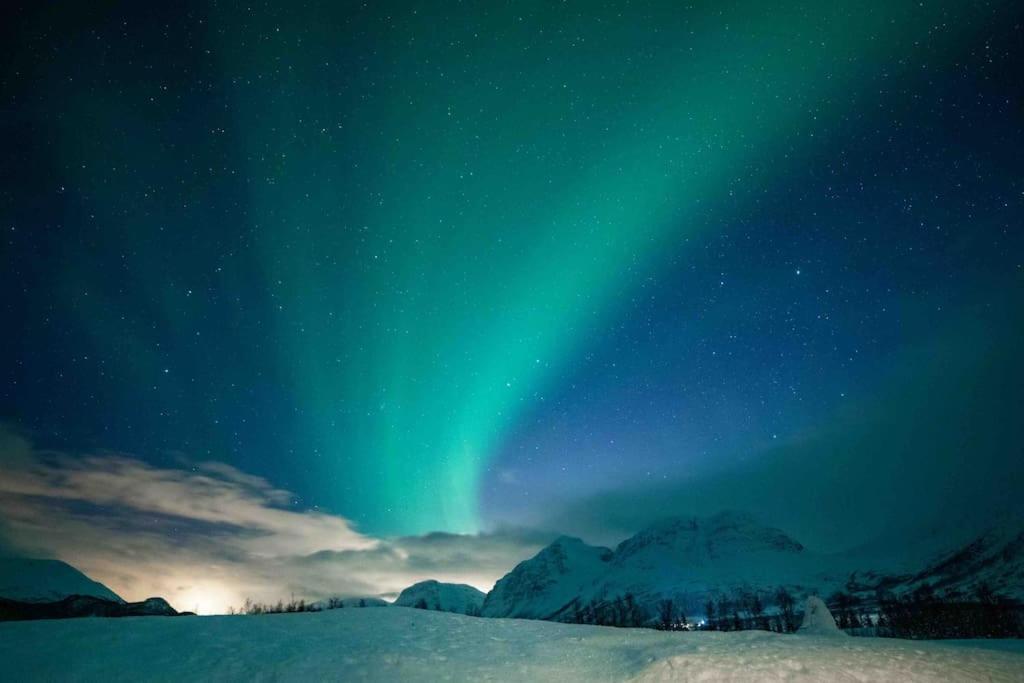 Mountainside Lodge - Breivikeidet Tromso Bagian luar foto