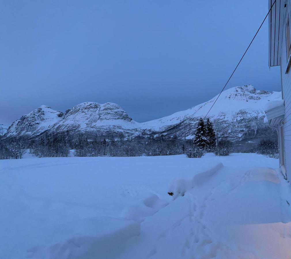 Mountainside Lodge - Breivikeidet Tromso Bagian luar foto
