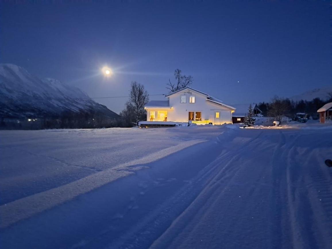 Mountainside Lodge - Breivikeidet Tromso Bagian luar foto